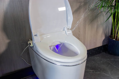 WC Japonais Monobloc Itami – Bulneo